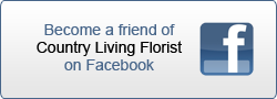 Become our friend on Facebook